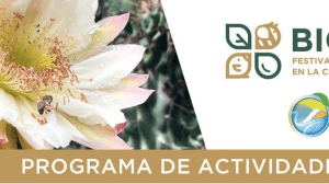 Captura de pantalla 2024 08 17 a las 11.56.07 p.m